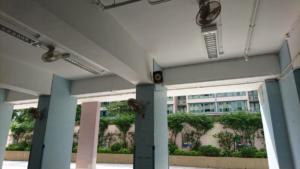 riveraincentralpahorn